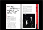Why and How Society Ended Up in a State of Perma-Flux preview thumbnail